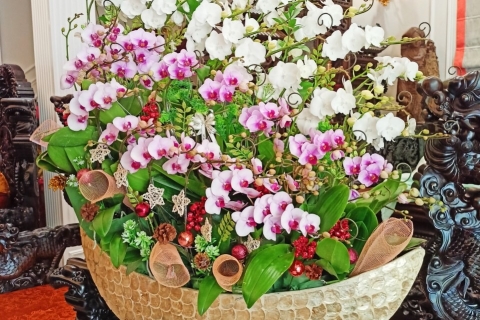 Vì Sao Hoa Lan Được Giới Yêu Cây Cảnh Việt Nam Ưa Chuộng?