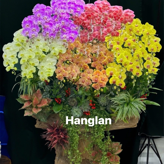Hằng Lan ĐT57