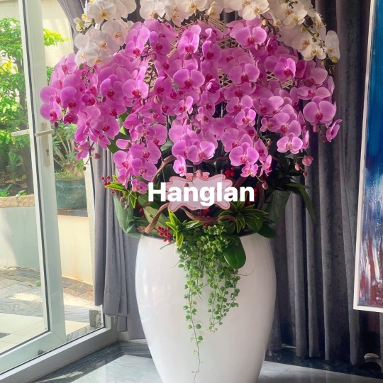 Hằng Lan KT58