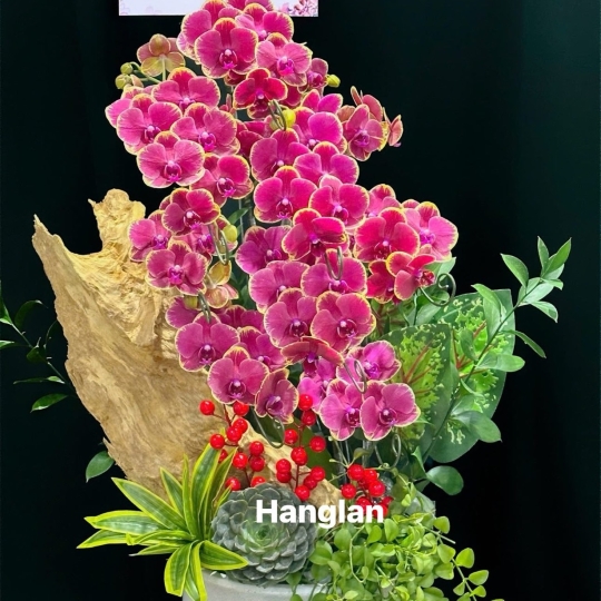 Hằng Lan CM52