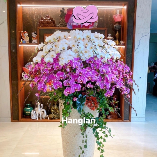 Hằng Lan KT39