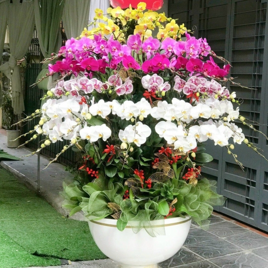 Hằng Lan SN42
