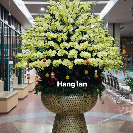 Hằng Lan KT44