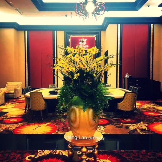 Hằng Lan KT15