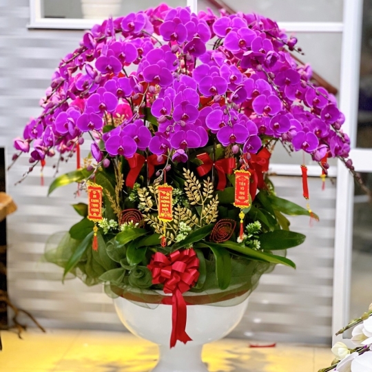 Hằng Lan SN16