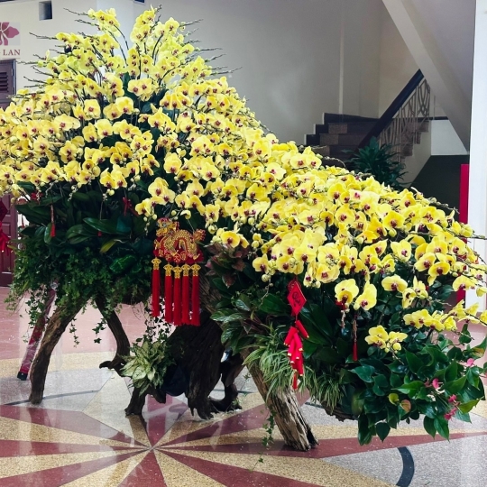 Hằng Lan KT18