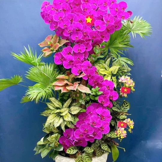 Hằng Lan ĐT20