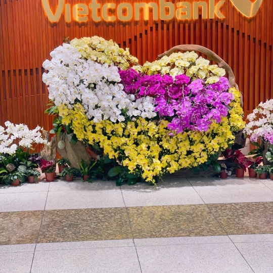 Hằng Lan KT22