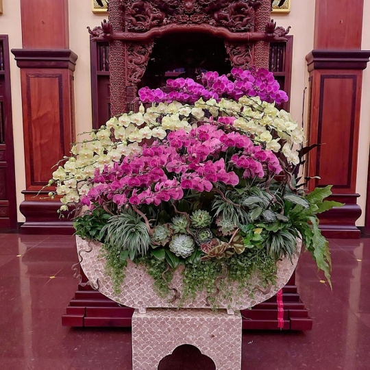 Hằng Lan KT25