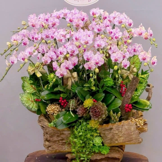 Hằng Lan CM30