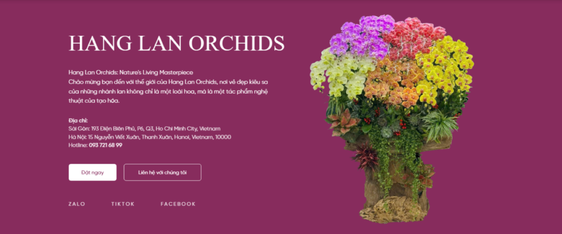 HANG LAN ORCHIDS